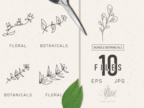 Download Floral Element Bundle 48 - Floral element Collection
