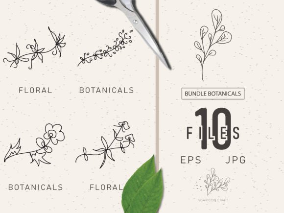 Download Floral Element Bundle 52 - Floral element Collection